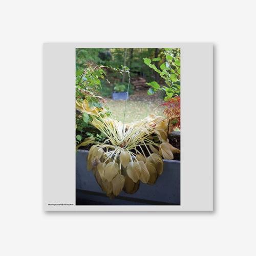 HYUKOH - 5th Full Album [사랑으로] (Vinyl)