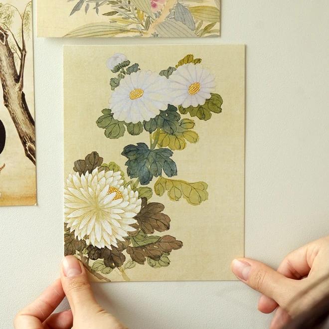 Postcard (Chrysanthemum) - National Museum of Korea Specialty Product
