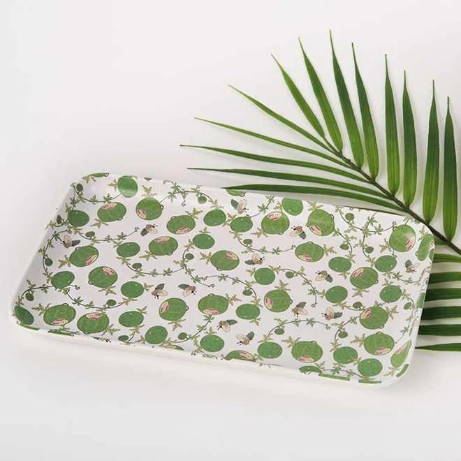 Insect and Plant Design Tray (Watermelon)