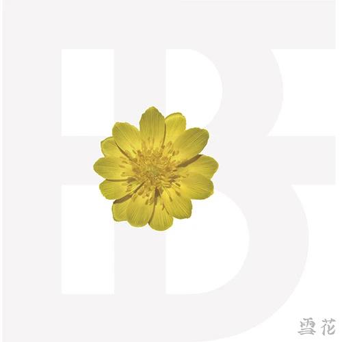 BF - Mini Album [ADONIS]
