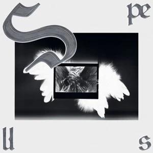 HAN JUNG IN - Spells