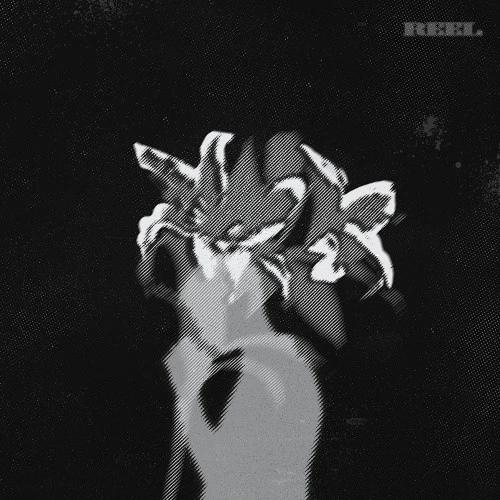 FIRR - 1st EP Album [REEL]