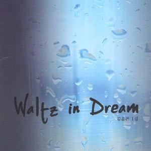 Kim Yoon Gon - Waltz In Dream