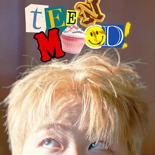 timid mood - Mini Album [TEEN MOOD]