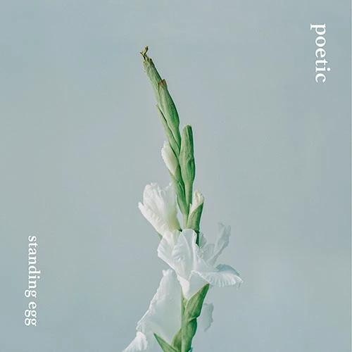 Standing Egg - Mini Album [poetic]