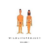Wildlife Project