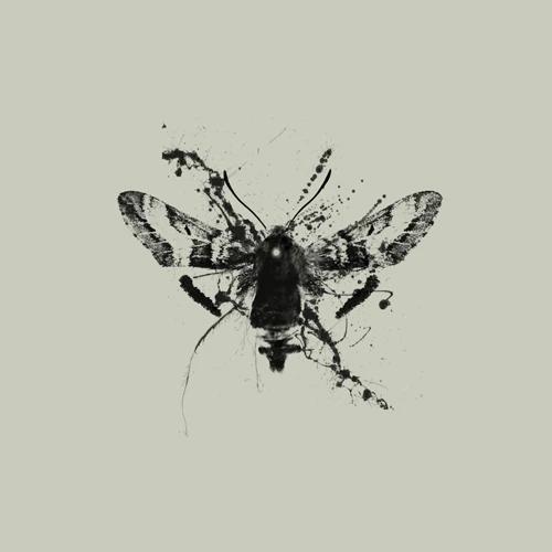 IRIP - Single Album [Trap]