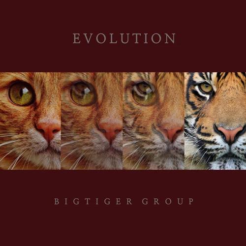 Bigtiger Group - Evolution
