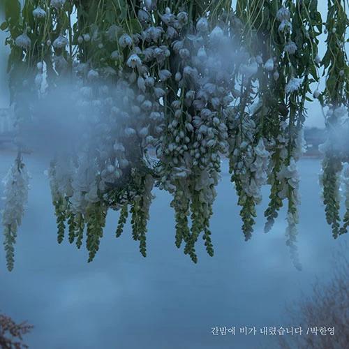 PARK HAN YEONG - It Rained Last Night