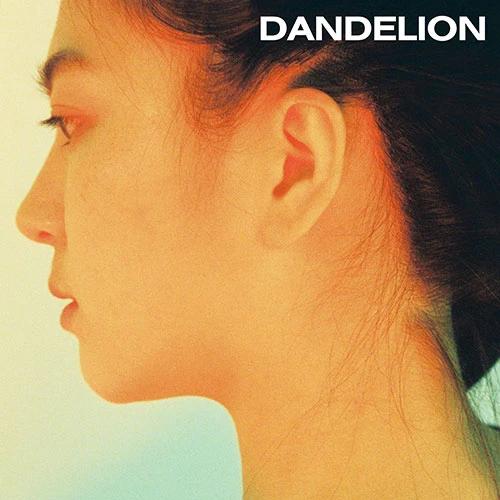 Dandelion - 0530
