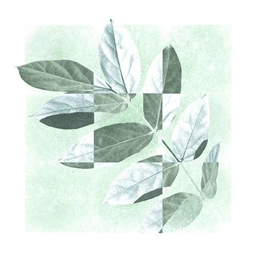 Park Jung Woong - EP [Summer]
