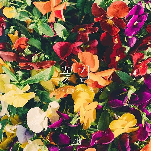 1/N - Flower Path