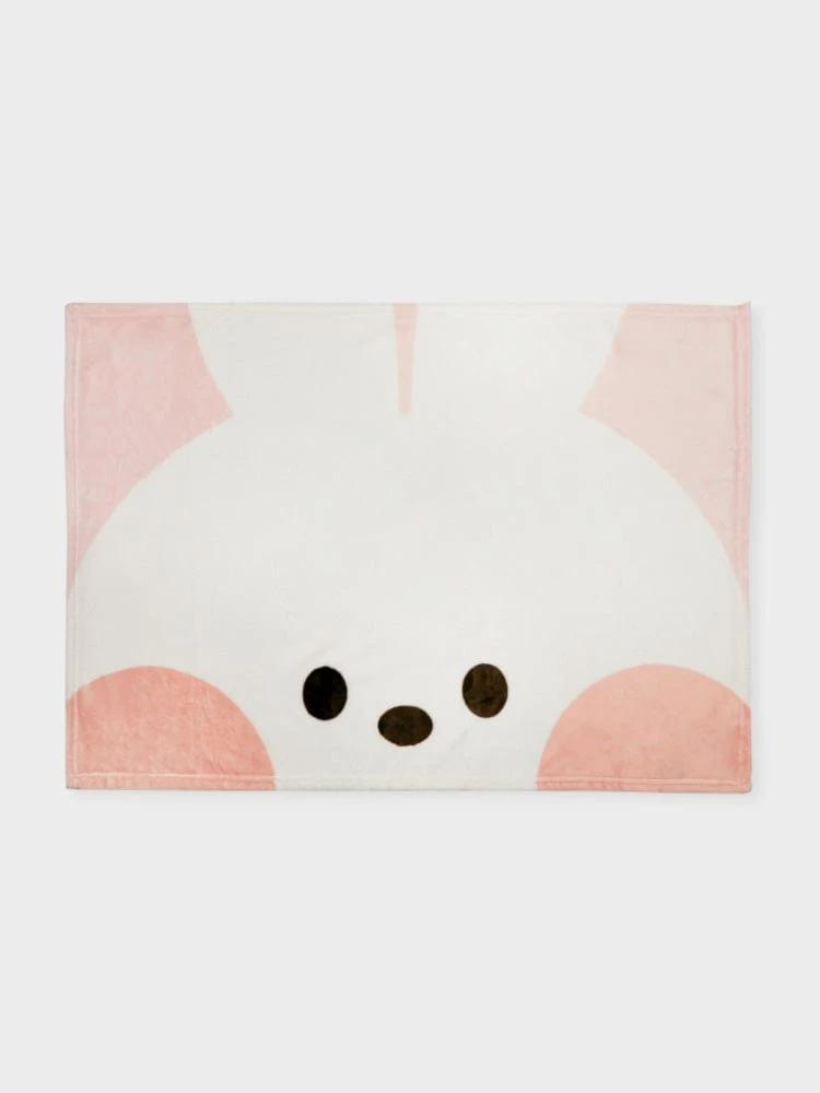 LINE FRIENDS minini Kony knee blanket
