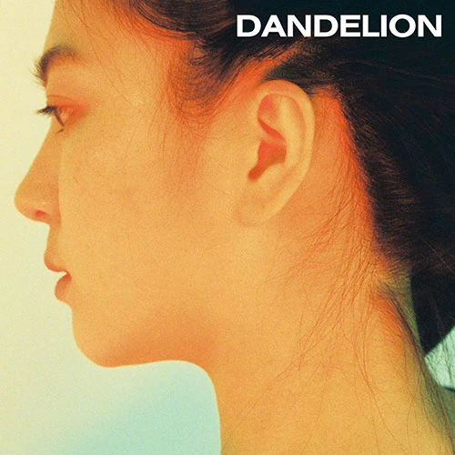 Dandelion - 0530