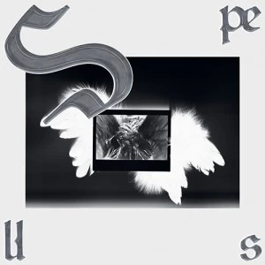 HAN JUNG IN - Spells
