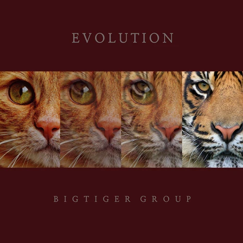 Bigtiger Group - Evolution