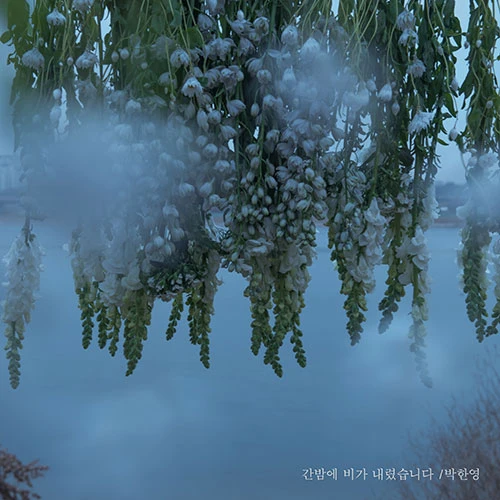 PARK HAN YEONG - It Rained Last Night