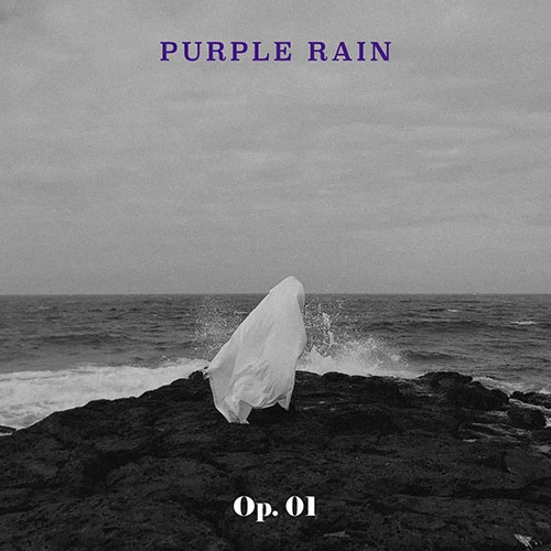 PURPLE RAIN - 1st EP [Opus 1] (Op. 01)