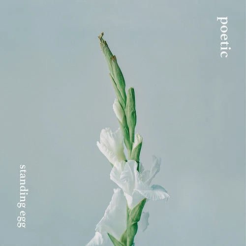 Standing Egg - Mini Album [poetic]