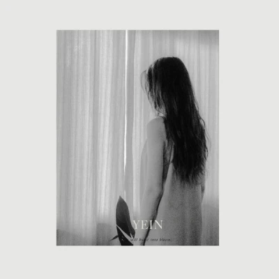YEIN - 5