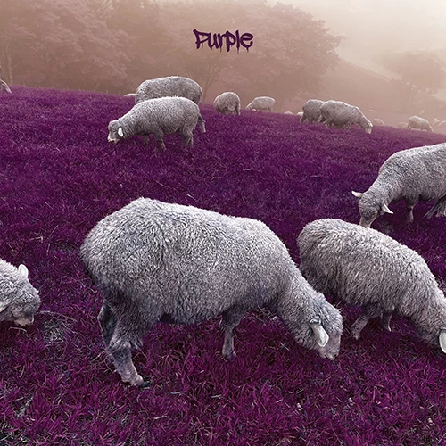 Attention 24 - 2nd EP [Purple]
