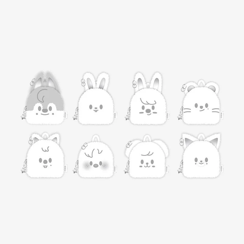 SKZOO ORIGINAL BACKPACK SILVER Ver. - celebrATE