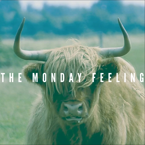 The Monday Feeling - 1st Full Album [Absolutely Clearly]