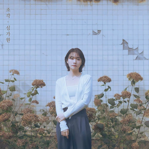 SIM GAWON - Single Album [Fragment]