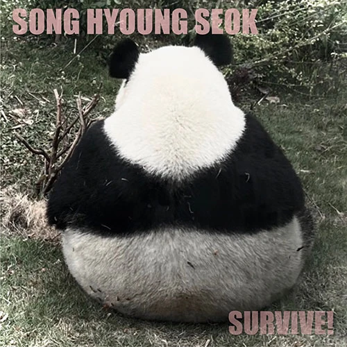 Song Hyungseok - 1st Studio Album [SURVIVE]